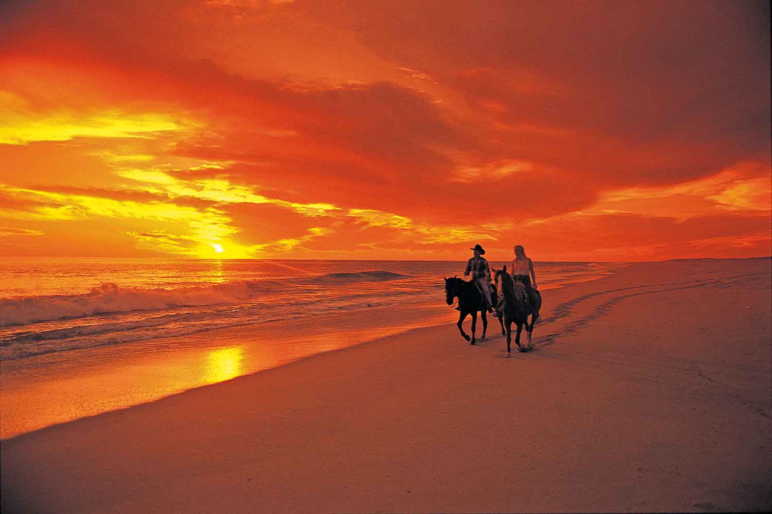 Sunset Horseback Riding Octopus Aruba