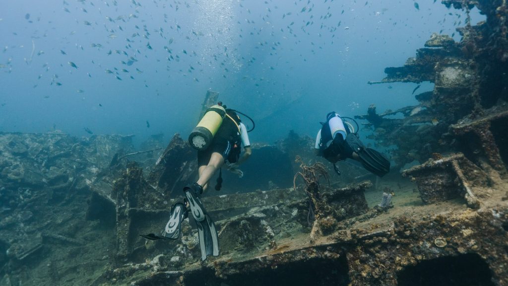 Octopus Aruba Snorkeling Shipwreck